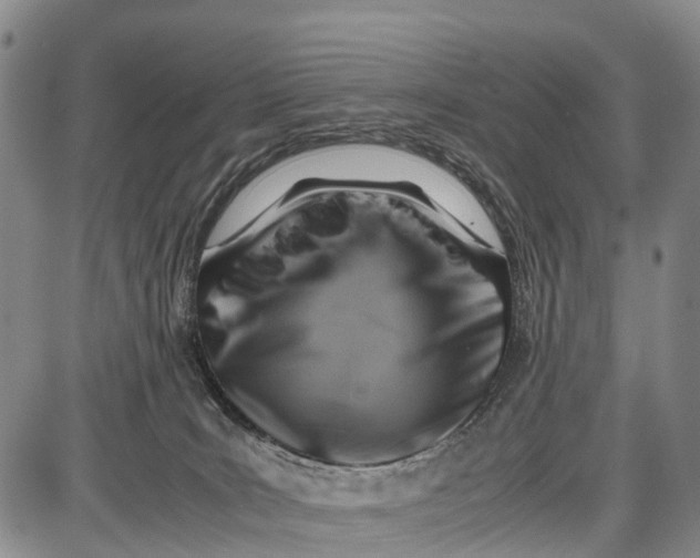 X0000087050035200705091147