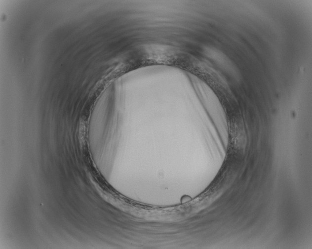 X0000087050036200705091147