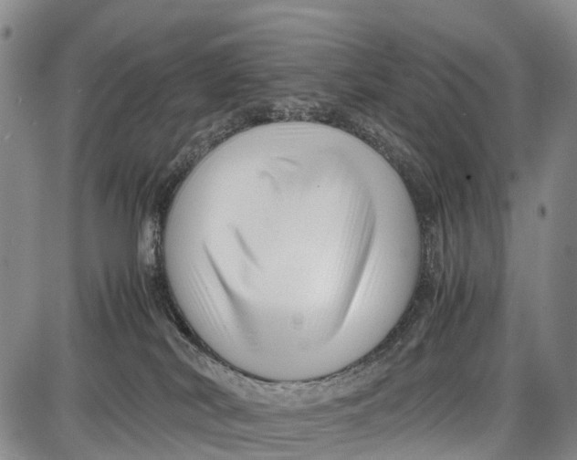 X0000087050038200705091146