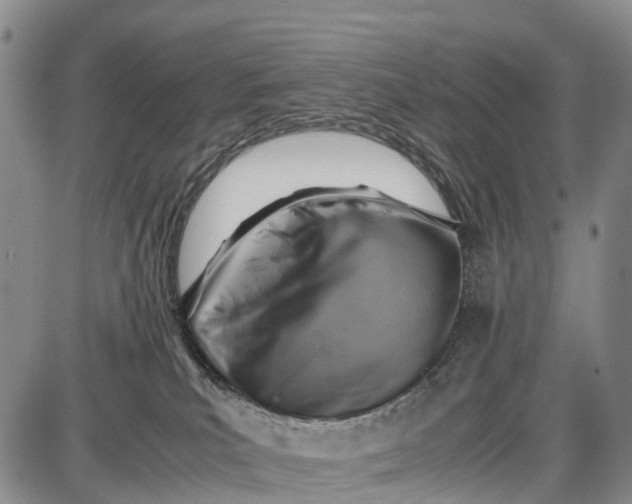 X0000087050039200705091146