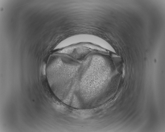 X0000087050041200705091146