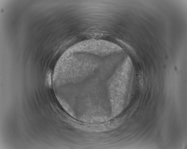 X0000087050042200705091146