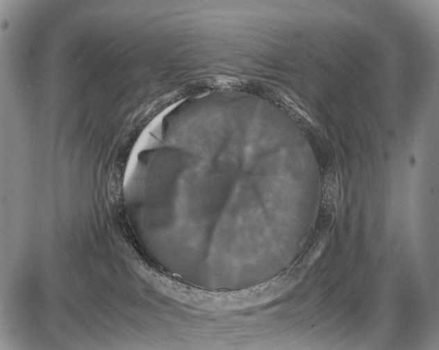 X0000087050043200705091146