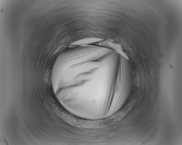 X0000087050044200705091146