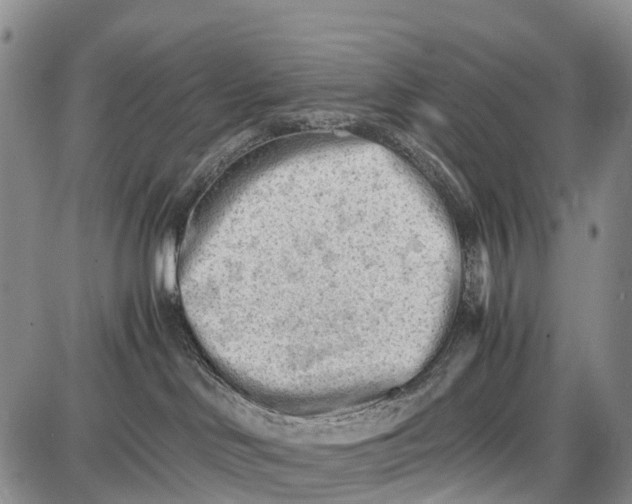 X0000087050046200705091146