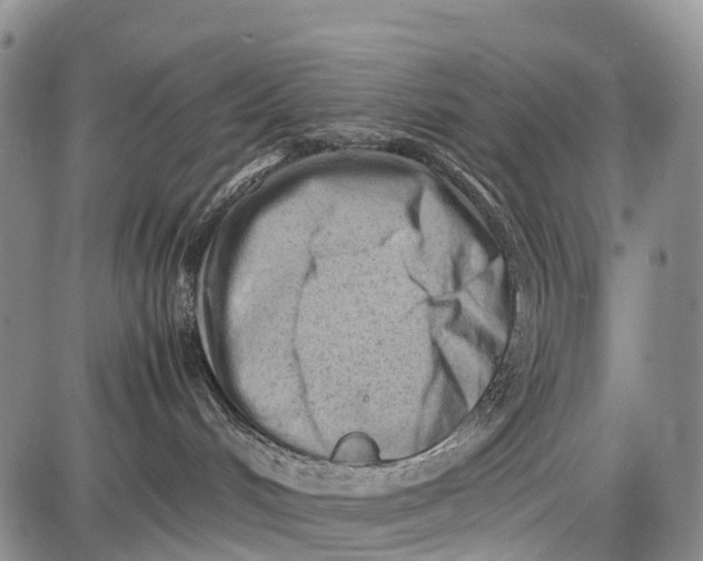 X0000087050048200705091146