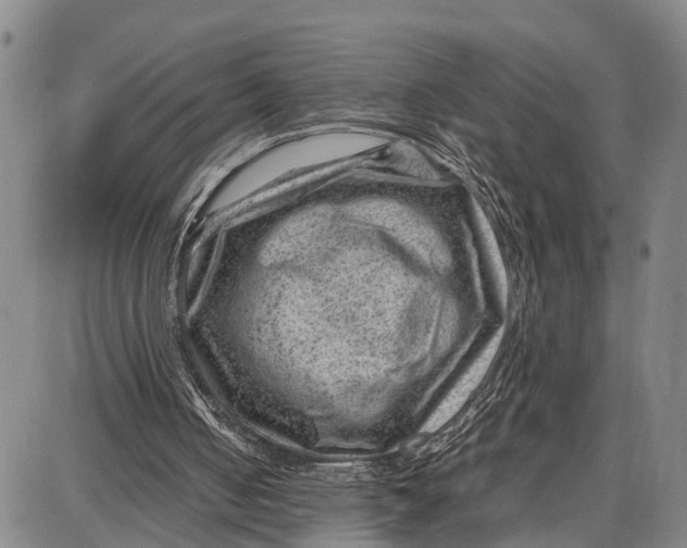 X0000087050050200705091146