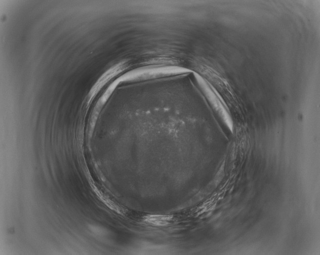 X0000087050051200705091146