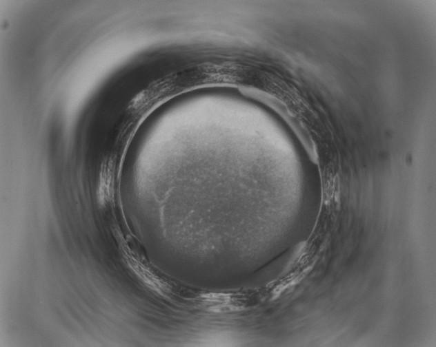 X0000087050052200705091146