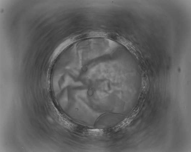 X0000087050053200705091146