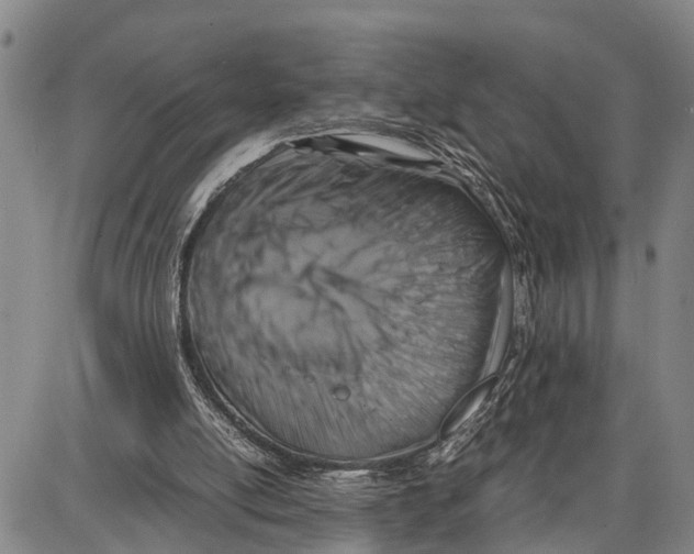 X0000087050054200705091146