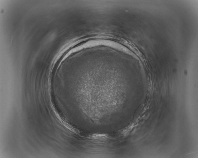 X0000087050055200705091146