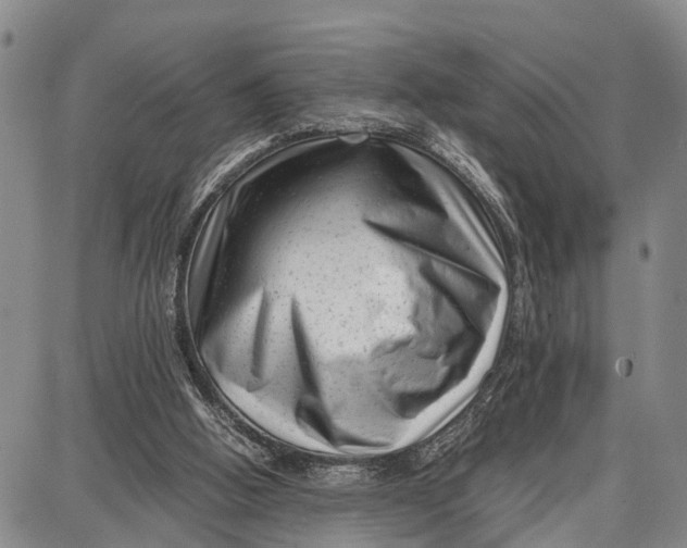 X0000087050058200705091146