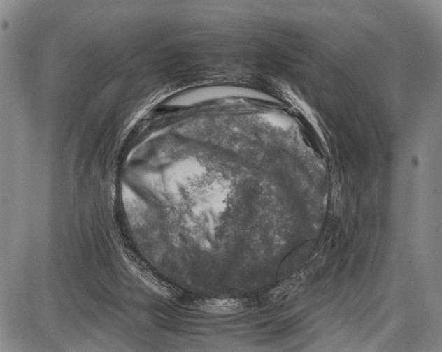 X0000087050059200705091146