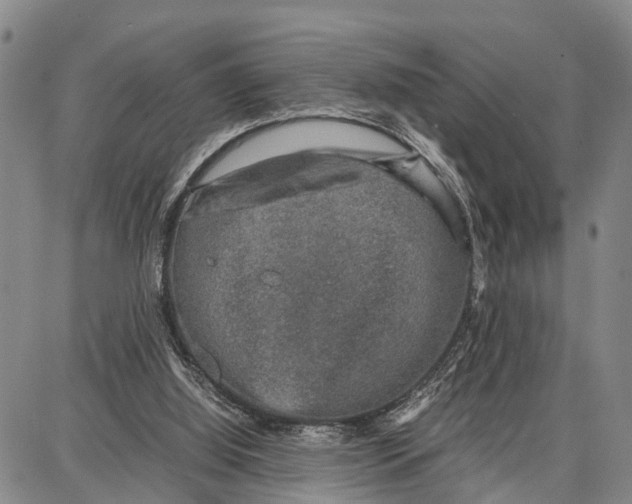 X0000087050060200705091146