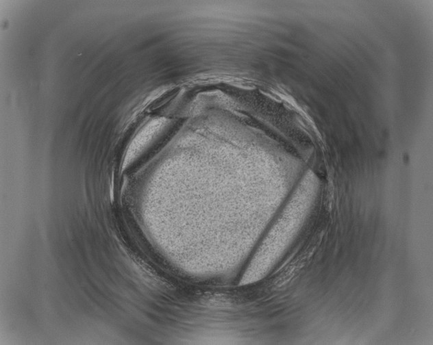 X0000087050062200705091146