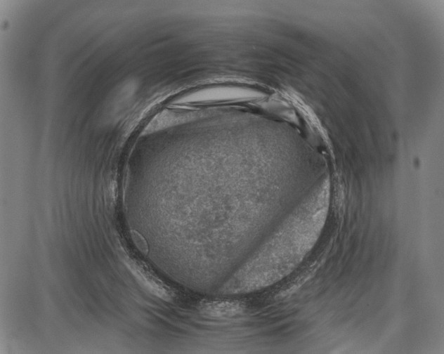 X0000087050063200705091146