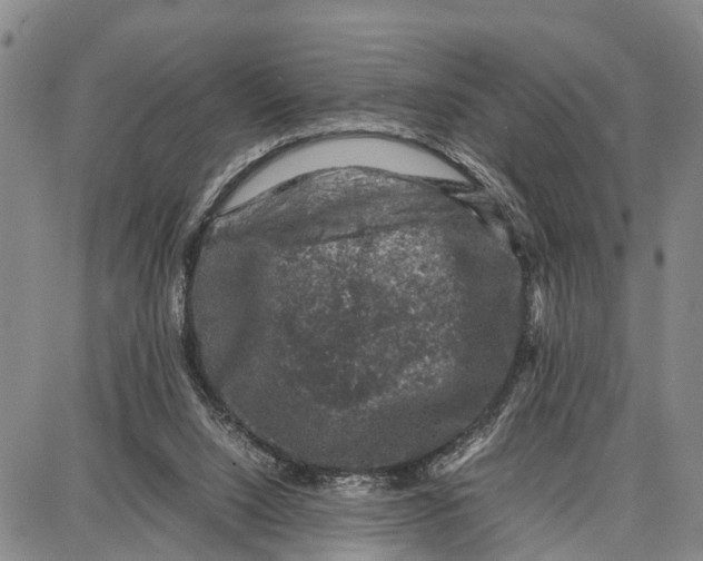 X0000087050064200705091146