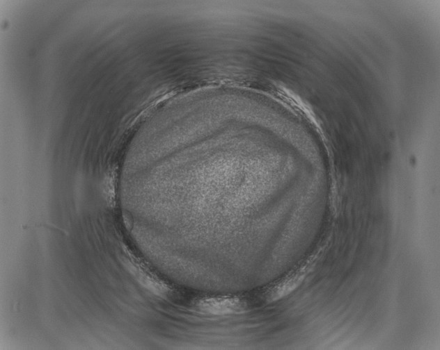 X0000087050065200705091146