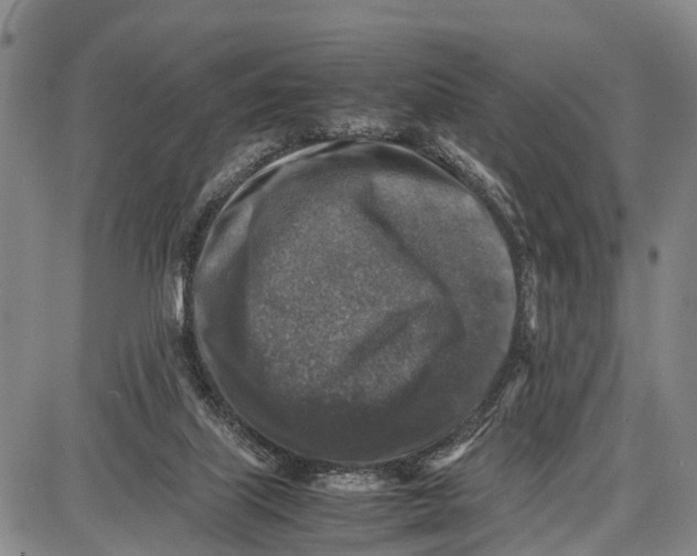 X0000087050067200705091146