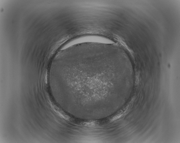 X0000087050068200705091146