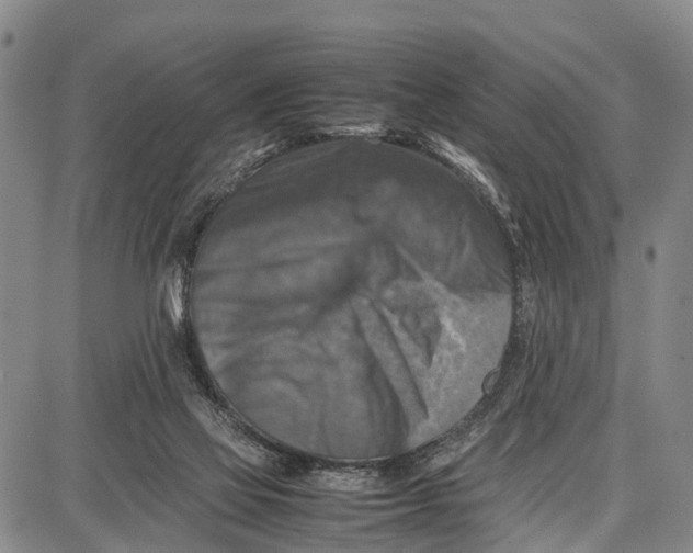 X0000087050069200705091146