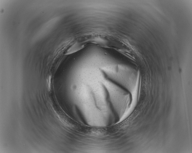 X0000087050070200705091146