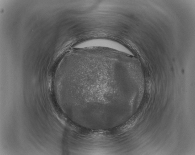 X0000087050072200705091146