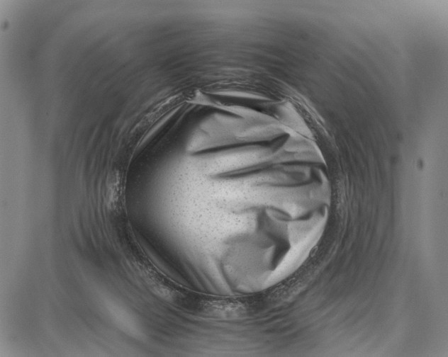 X0000087050073200705091146