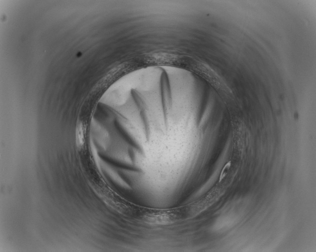 X0000087050075200705091146