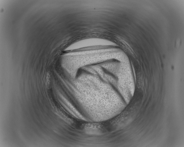 X0000087050077200705091146