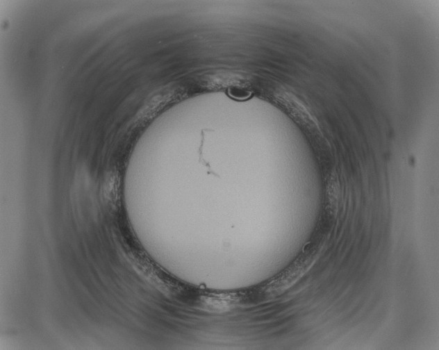 X0000087050079200705091146