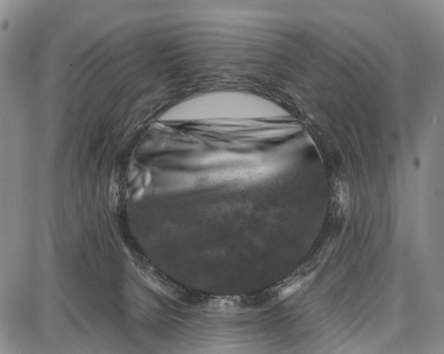 X0000087050080200705091146