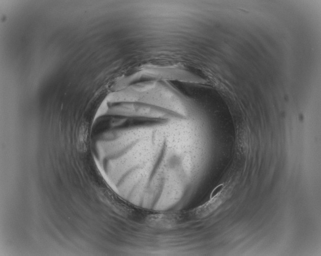 X0000087050082200705091146