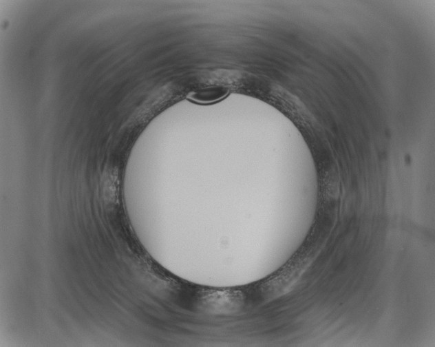 X0000087050083200705091146