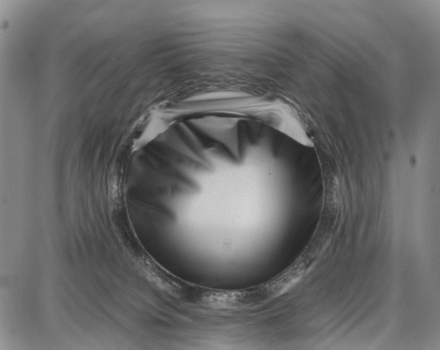 X0000087050084200705091146