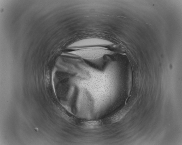 X0000087050085200705091146