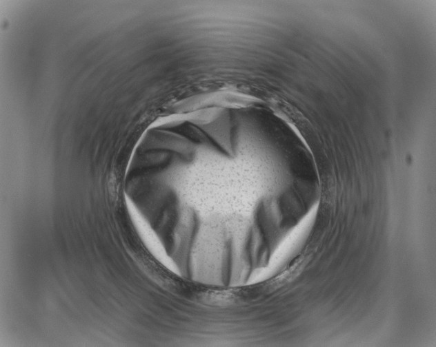 X0000087050086200705091146