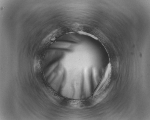 X0000087050088200705091146