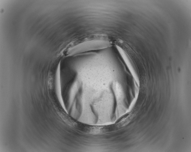 X0000087050090200705091146