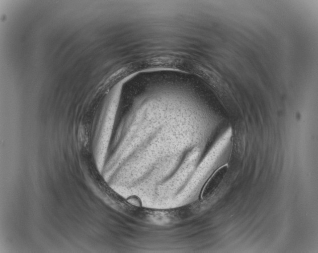 X0000087050091200705091146