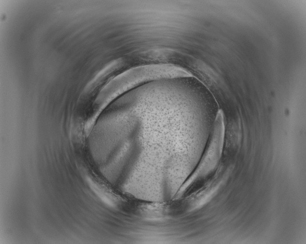 X0000087050092200705091146