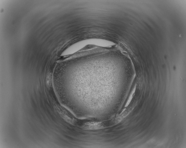 X0000087050093200705091146