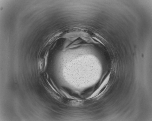 X0000087050094200705091146