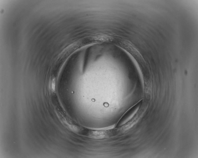 X0000087050095200705091146