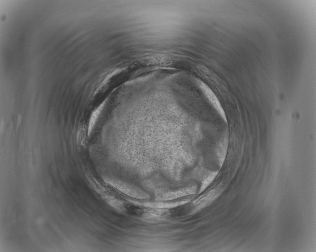 X0000087050096200705091146