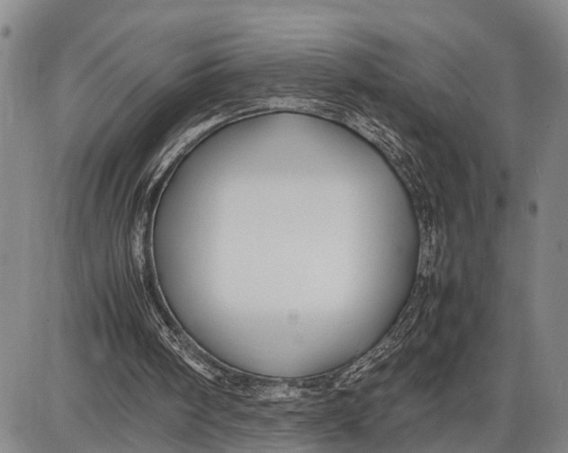 X0000087050098200705091146