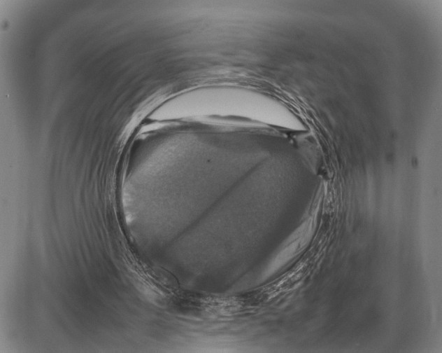 X0000087050099200705091145