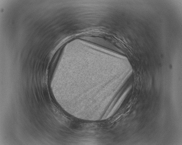 X0000087050100200705091145