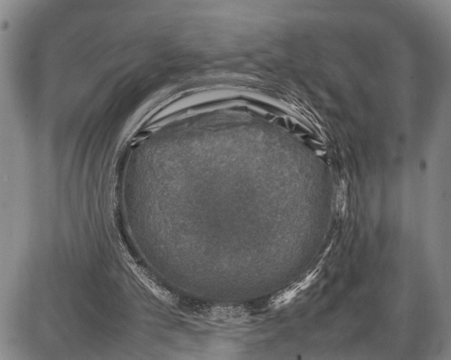 X0000087050101200705091145